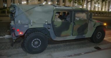 LA ICE raid protests: California National Guard arrive in Los Angeles on Donald Trump's orders to quell immigration protests