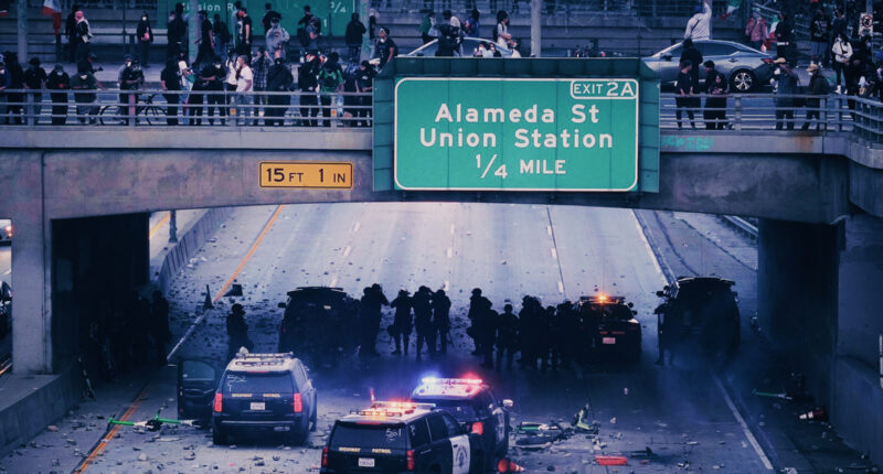 LA Riots Immigration Palantir and Public Opinion