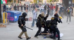 LA anti-ICE rioters will be met with force as ‘idiot’ Gov Newsom fuels fire: police union boss
