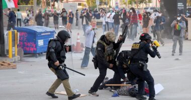 LA anti-ICE rioters will be met with force as ‘idiot’ Gov Newsom fuels fire: police union boss