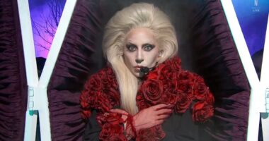 Lady Gaga fans go WILD as A-list star joins her on stage