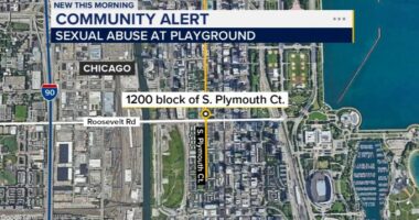 Lodell Burnett charged with sexually abusing girls at Jones Park at Plymouth Court in Dearborn Park, documents show