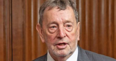 Lord Blunkett: Sir Keir Starmer faces no-confidence vote if he's defeated over welfare