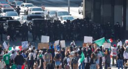 Los Angeles erupts in anarchy as protesters storm major highway and clash with law enforcement
