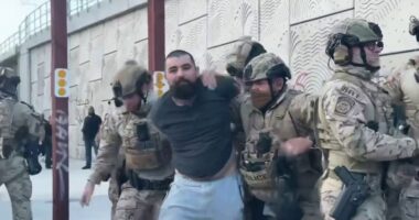Los Angeles protester charged with throwing rock at federal officer's face shield
