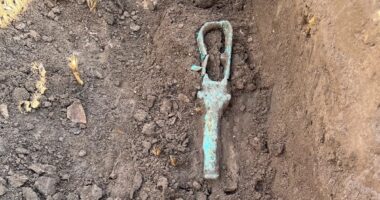 Lost 2,400-year-old city uncovered by archaeologists with multi-storey buildings and temple dedicated to cobra goddess