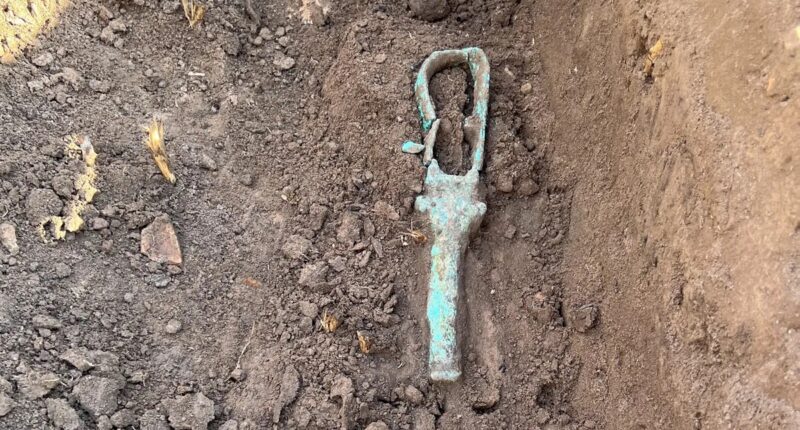 Lost 2,400-year-old city uncovered by archaeologists with multi-storey buildings and temple dedicated to cobra goddess