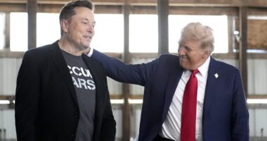 MAGA splinters into Team Trump vs Team Musk, as key figures pick their side... including one senior Republican who Musk is now GHOSTING