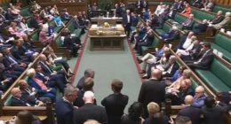 MPs vote to decriminalise women ending their own pregnancies in step towards abortion reform