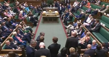 MPs vote to decriminalise women ending their own pregnancies in step towards abortion reform