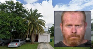 Man guilty after grandma died covered in maggot-filled sores