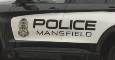 Mansfield tragedy: 5-year-old boy dies after being left in hot car