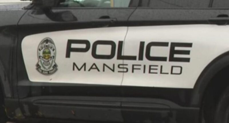 Mansfield tragedy: 5-year-old boy dies after being left in hot car