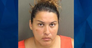 Married Florida Teacher Closes Curtains and Rapes Boy Who Ate Lunch in Her Classroom Due to ‘Fitting In’ Issues: Affidavit
