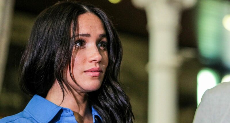 Meghan Markle's Baby Birth Twerk Dance Video Leaves The Internet Divided