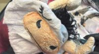 Meth-covered cow onesie in luggage smuggler admits guilt