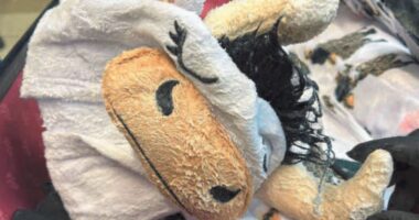Meth-covered cow onesie in luggage smuggler admits guilt
