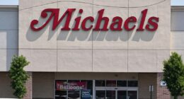 Michaels acquires Joann brands, including Big Twist yarns