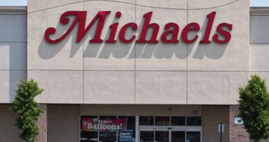 Michaels acquires Joann brands, including Big Twist yarns
