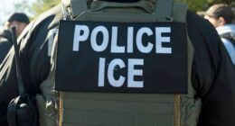 Migrants and ICE officers contend with heat, smog and illness after detoured South Sudan flight
