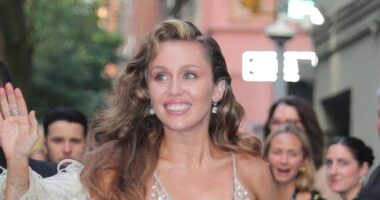 Miley Cyrus Heckled By Furious Fan Who Paid $800 For Her Film Premiere Expecting It To Be A Concert