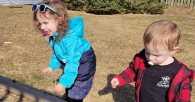 Missing Nova Scotia siblings' grandmother reveals family secrets as mom stays silent