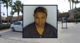 Mom left toddler at playground to work at store: Police