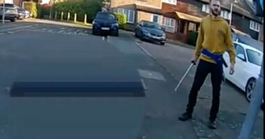 Moment 'killer' attacks police officers with samurai sword as they try to arrest him after schoolboy was slashed to death in street