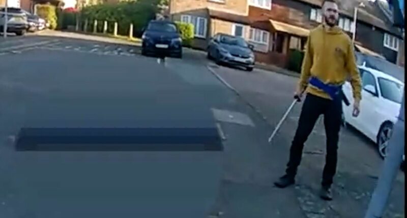 Moment 'killer' attacks police officers with samurai sword as they try to arrest him after schoolboy was slashed to death in street