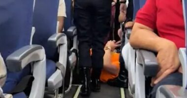 Moment bulky passenger who demanded aisle seat for his big frame is DRAGGED off jet wearing ‘too busy doing nothing’ top