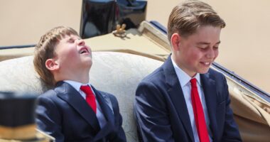 Moment cheeky Prince Louis leaves older brother George giggling during Trooping the Colour parade