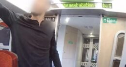 Moment train passenger screams ‘I’m gonna break your FACE’ and lunges at worker