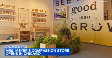 Mrs. Meyer's 'Compassion Store' in Chicago cultivates community with kindness