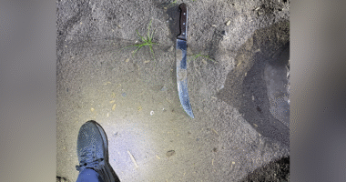 Multiple arrests after violent mob attacks Portland ICE facility with fireworks and knives