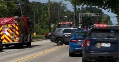 Multiple injured after gunman ‘drove truck into church and opened fire’ before being killed by heroic security guard