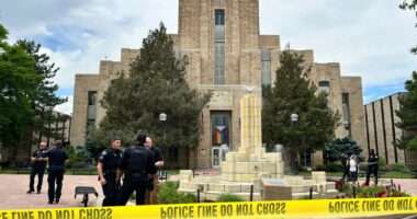 Multiple people burned in ‘targeted terror attack’ in Colorado as FBI says its investigating ‘active incident’