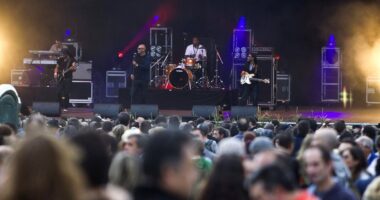 Music festival halted after band member 'collapses on stage' in front of horrified crowd
