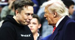 Musk offers stunning olive branch to Trump as bromance disintegrates and threatens to rip MAGA apart