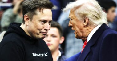 Musk offers stunning olive branch to Trump as bromance disintegrates and threatens to rip MAGA apart