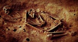 Mysterious 6,000-year-old skeletons with never-before-seen DNA rewrites human history