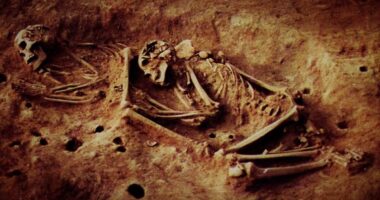 Mysterious 6,000-year-old skeletons with never-before-seen DNA rewrites human history