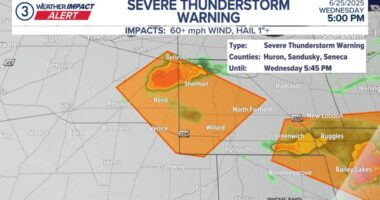 NWS issues Severe Thunderstorm Warning for several Northeast Ohio counties