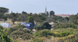New Madeleine McCann dig in Portugal: Police start new search near former address of number one suspect Christian Brueckner
