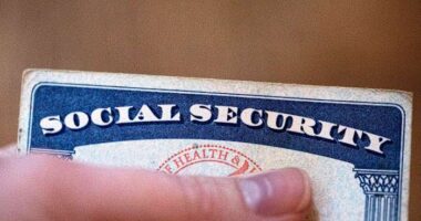 New Social Security Commissioner faces pointed questions about staffing, privacy