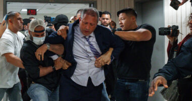 New York City mayor hopeful Brad Lander arrested by ICE at immigration hearing just 1 week before primary election