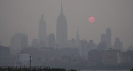New York Real Estate Broker Flooded With Calls From Wealthy Residents Looking to Flee