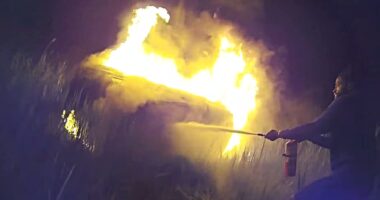 New York police officer and Good Samaritans save 68-year-old woman from vehicle engulfed in flames