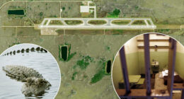 New ‘Alligator Alcatraz’ would see migrants housed in tents and surrounded by beasts and pythons