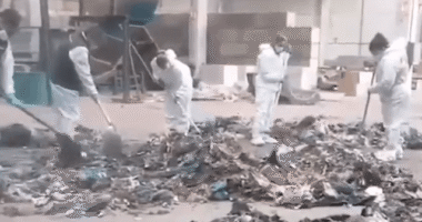 Newborn baby found decapitated and dismembered in rubbish bin as cops launch manhunt for tragic tot’s mum