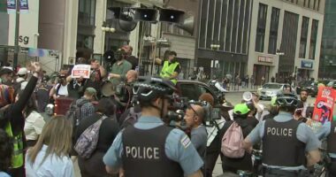 'No Kings Day' protests in Chicago, suburbs today: Rallies against ICE raids, Trump's military parade in DC for Army's 250th
